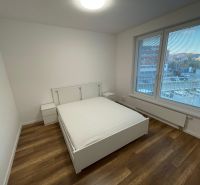 A bedroom in a 2-room apartment with a bed and a wooden decor floor.