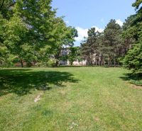 Greenery around the 3-room apartment on Obežná Street, Bratislava - Ružinov.