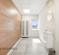 Interior of a commercial space with wood-patterned flooring, a sink, and a cabinet.