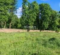 Lands - housing in Spišský Hrhov, grassy area surrounded by trees and a stone wall.