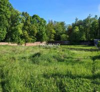 Greenery and a grassy plot bordered by a wall in Spišský Hrhov, suitable for living.