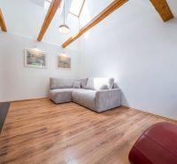 A bright living room with wood-patterned flooring and a comfortable sofa in a two-room apartment.