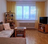 Living room in a two-room apartment with a wooden decor floor and a couch.