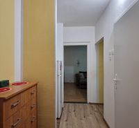 Hallway with a cabinet, wooden decor flooring, entrance to a 2-room apartment.