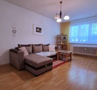 Living room in a two-room apartment with a comfortable sofa and a wooden-patterned floor.