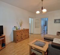 Living room in a two-room apartment with a wooden decor floor and a comfortable sofa.