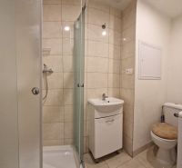 Bathroom in a 2-room apartment with a shower, sink, toilet, and washing machine.