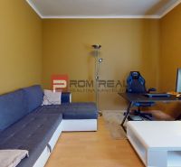 Living room in a studio apartment with a blue sofa and a desk.