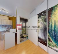 A kitchen in a studio apartment with a wooden decor floor and built-in wardrobes.