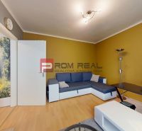 Living room with a sofa, a desk, and a wooden decor floor in a studio apartment.