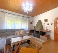 Obývacia izba v rodinnom dome s podlahou s dreveným dekorom a krbom.