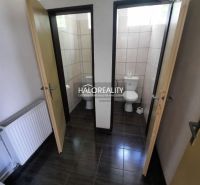 Gastro premises with a shared toilet and a floor with a wooden decor.