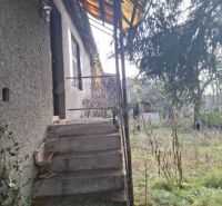 Overgrown surroundings of the cottage in Divín, staircase leading to the entrance door.