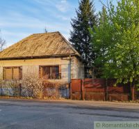 A cottage in the village of Divín with a front garden and a tree during late spring.