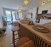 A bright kitchen and living room in a 3-room apartment with a wooden decor floor.