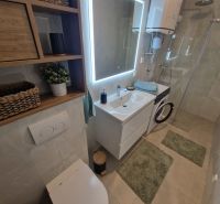 A bathroom with a sink, shower, and washing machine in a 3-room apartment.
