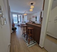 A bright living room with wood-patterned flooring and a bar counter in a 3-room apartment.