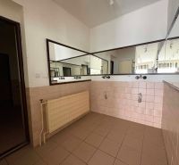 Commercial spaces with mirrors and a radiator, tiles on the floor.