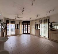 Spacious commercial spaces with sinks and mirrors, suitable for various uses.