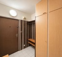 Entrance room with a coat rack wall and a built-in wardrobe in a 3-room apartment.