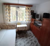 Living room in a three-room apartment with a sofa and a wardrobe, floor with a wooden decor.