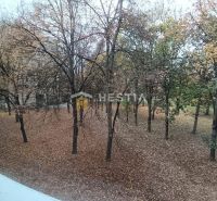 Autumn view from a 3-room apartment in Senica with fallen leaves and trees.