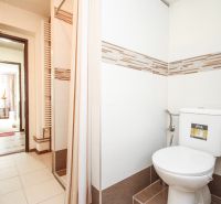 Bathroom with toilet and shower in a family house, ceramic tiles.