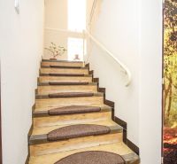 A staircase with a wooden decor in a family house, a plant on the stairs.