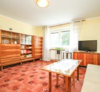 Living room in a family house with wooden cabinets and a TV on the carpet.