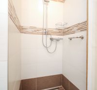 A shower corner with modern tiles and a showerhead in a family house.