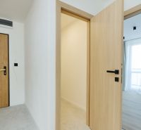 Interior of a 4-room apartment with doors and flooring featuring a wood decor.