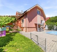 A family house in Gabčíkovo with a swimming pool, a children's playhouse, and a terrace in the garden.