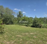 Greenery and trees on residential plots in Potônske Lúky under the blue sky.