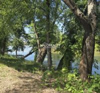 A river surrounded by trees in Potônské Lúky, ideal for plots - living.