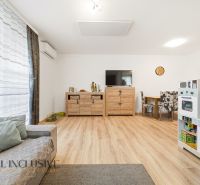 A living room in a three-room apartment with a wooden decor floor and a children's kitchen.