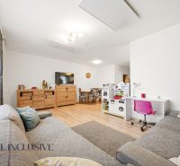 Living room in a three-room apartment with a wooden decor floor and a comfortable sofa.