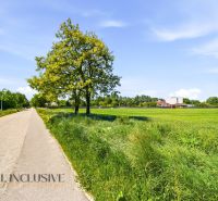 A road lined with trees and meadows leads to Horný Bar.