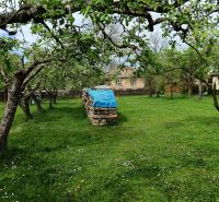 Plots - housing in Strážske with fruit trees and a wood storage in the garden.