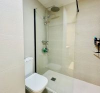 Shower corner with a toilet in the bathroom of a 3-room apartment, light tiles.