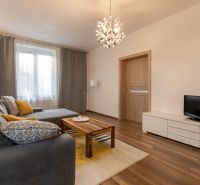 Living room in a two-room apartment with a wooden decor floor and a comfortable gray sofa.