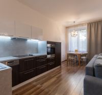 Kitchen and living area with wood-patterned flooring in a 2-room apartment.