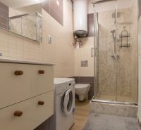A compact bathroom in a 2-room apartment with a washing machine, shower, and sink.