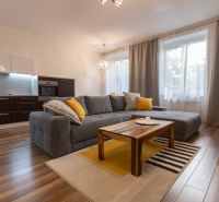 Living room in a 2-room apartment with a sofa, kitchen, and wood-patterned flooring.