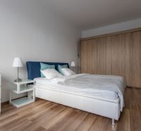 Bedroom in a 2-room apartment with a bed, built-in wardrobe, and wooden decor flooring.