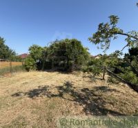 The garden of a family house in Šurany with a lawn and trees.
