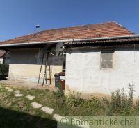 A family house in Šurany with a red roof, satellite dish, and garden.