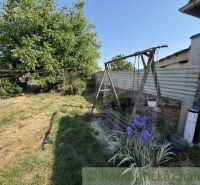 The garden of a family house in Šurany with an old swing and a line of flowers.