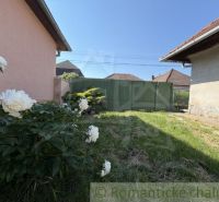The garden of a family house in Šurany, with a lawn and blooming white flowers.