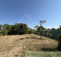 A garden at a family house in Šurany with a large grassy area and several trees.