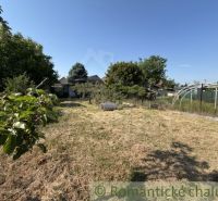 A garden at a family house in Šurany with trees and an open grassy area.
